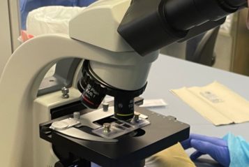 Dirk Hüfler Labordiagnostik und Pferdemedizinm an der Berufsschule 5