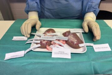 Berufsschule 5 der Stadt Augsburg